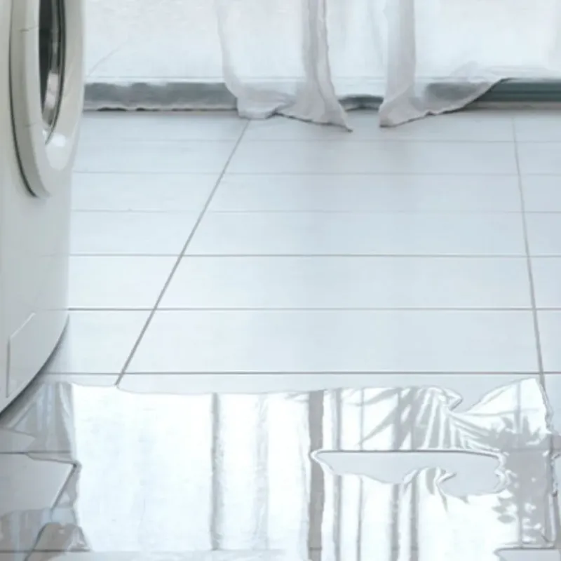 Appliance Leak Cleanup in Clever, MO