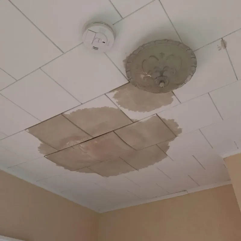 Ceiling Water Damage Repair in Clever, MO