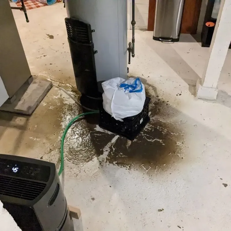 Sewage Backup Cleanup Service in Clever, MO
